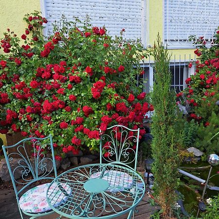Nensi Apartment Ehekirchen Екстериор снимка