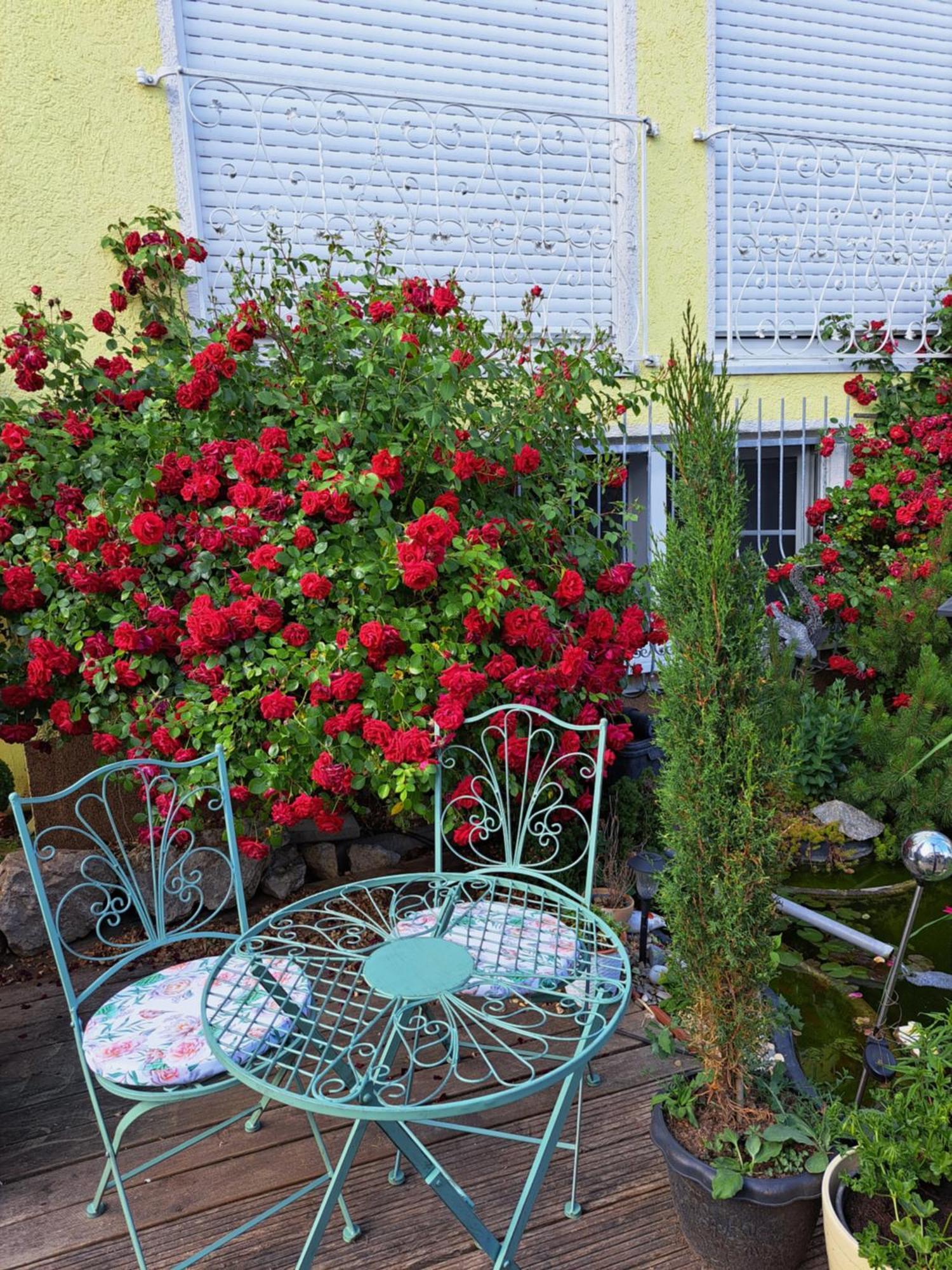 Nensi Apartment Ehekirchen Екстериор снимка
